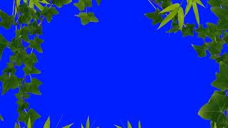 Tropical Green Leaves Frame with Blue Background – Nature Template