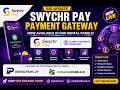 SwyChr Pay Payment Gateway Now Available in Our Rental Panels | DigitalPanel & LifeSafariPanels