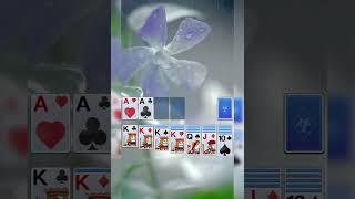 Solitaire Legend V29- 800×1200 screenshot 4