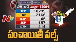 Special Report on AP Panchayat Election 2021 Results | Ntv