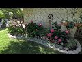 The hydrangeas are blooming  a walk through our patio  birdhouse garden