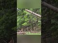 A look at wind damage throughout the Rochester area on Thursday