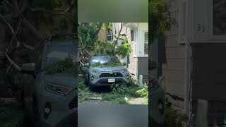 A look at wind damage throughout the Rochester area on Thursday
