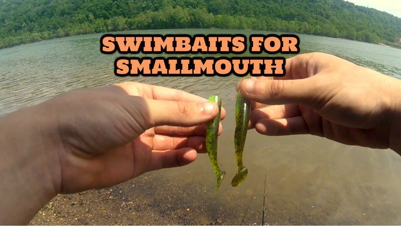 Swimbait’n Smallmouth – River Fishing For Smallmouth Bass