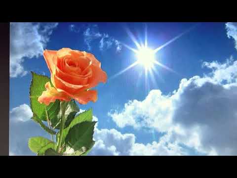 MILTHO HAL U