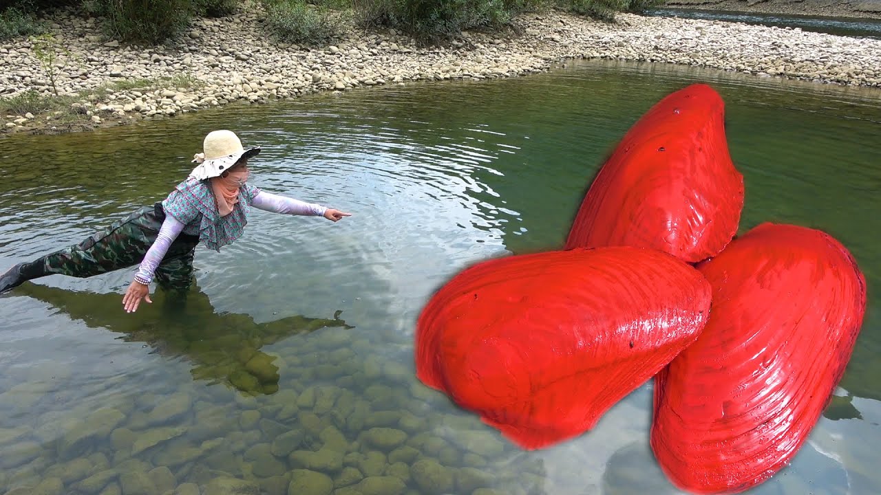 The huge mutated red clam in fresh water, with pearls the size of an egg, is extremely beautiful