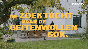 Lievegoed Employer Brand film