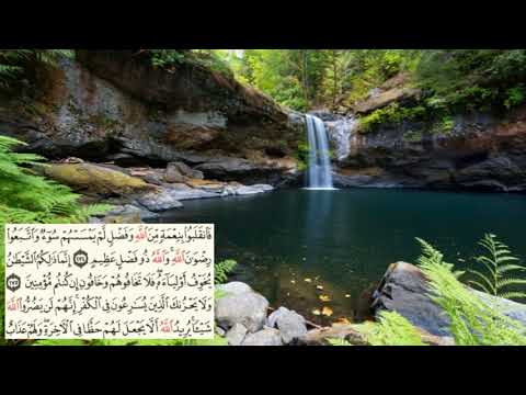 صفحة 73 Page سعد الغامدي سورة ال عمران Al Imran