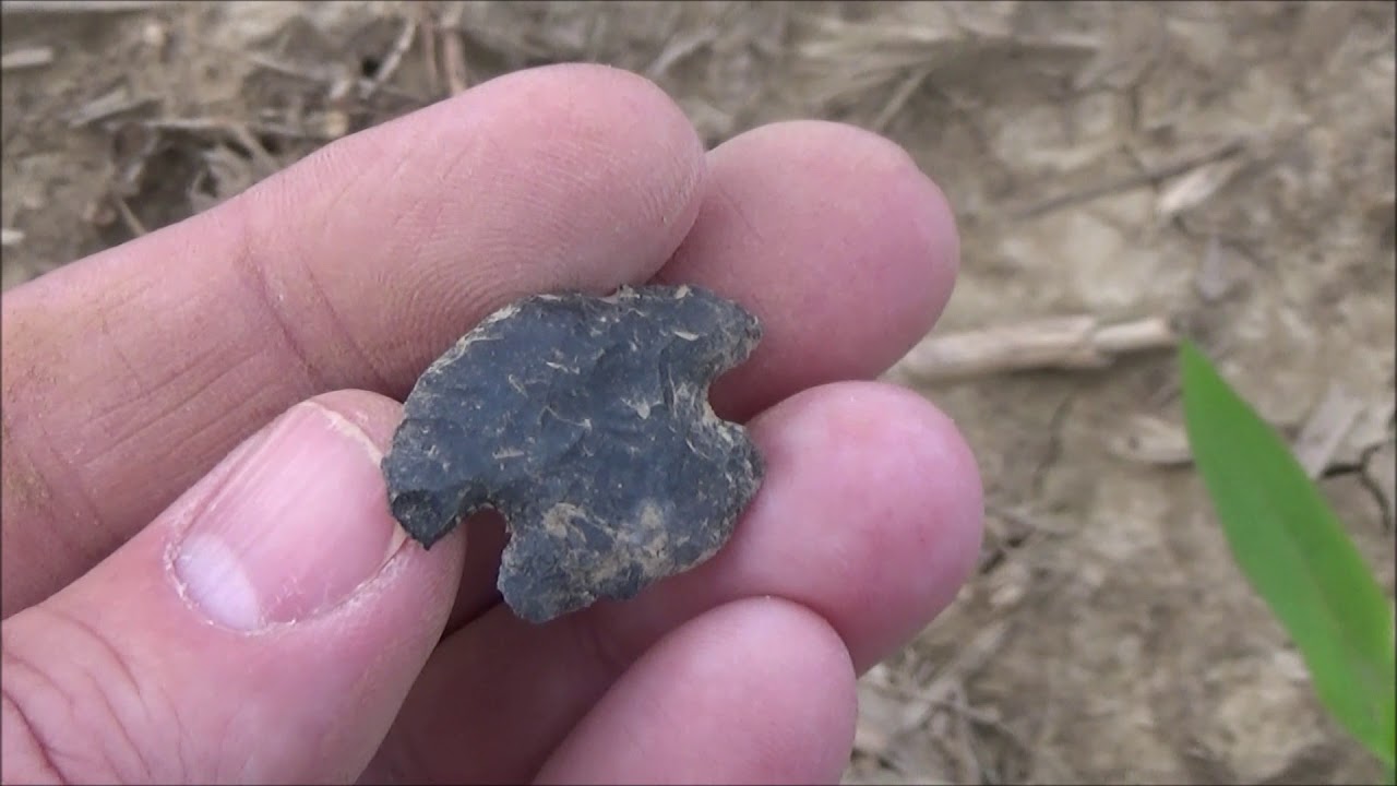 Ohio Arrowhead Hunting June 4, 2019