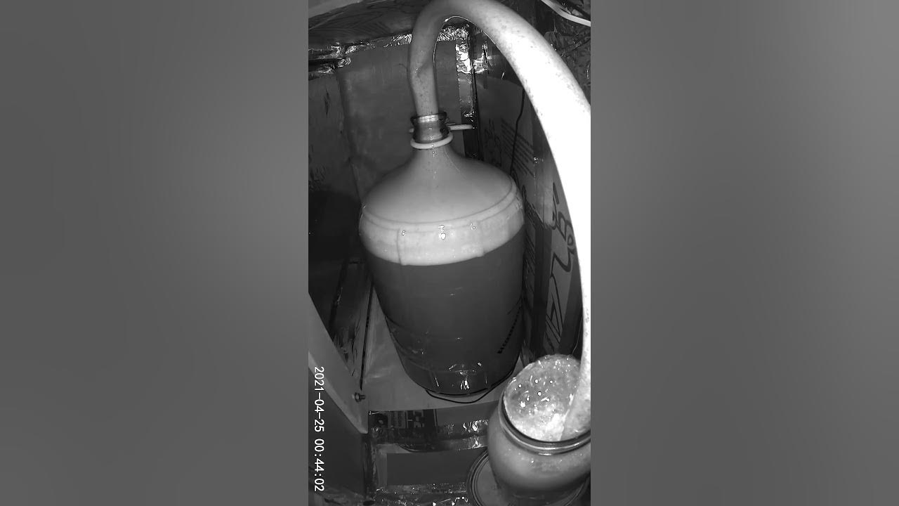 Fermentation Time Lapse Hefeweizen Wyeast 3068 YouTube