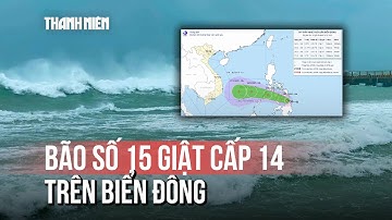 Bão số 15 có thể mạnh cấp 11, giật cấp 14 trên Biển Đông