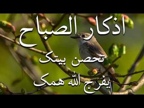 أذكار الصباح - راحة نفسية لا توصف بصوت القارئ علاء عقل | Morning Athkar - Dzkir Pagi by Alaa Aql