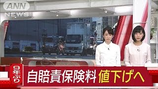 自賠責保険料を値下げへ、9年ぶり　金融庁(17/01/12)