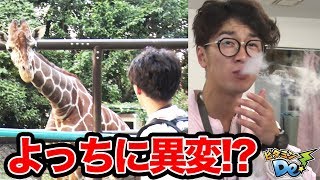 まさかの結末...！YouTuberが電車でリアルすごろくゲームやってみた！【後編/ビタミンDe！】