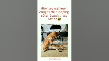 my managers reaction🤣😂😅#manager #coders #programmers #clientes #viral #shorts