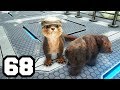 TENGO UN  BEBE OSO | ARK: Survival Evolved EXTINCTION #68 Mods | Temporada 7