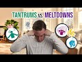 Mistaking Meltdowns For Tantrums Here S The Difference
