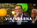 Vikingarna - Till mitt eget blue Hawaii  | Allsång på Skansen 2021 | SVT