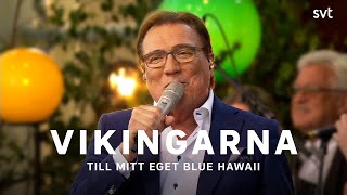 Vikingarna - Till mitt eget blue Hawaii  | Allsång på Skansen 2021 | SVT