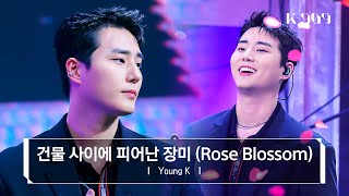 [4K/최초공개] Young K (DAY6) - 건물 사이에 피어난 장미 (Rose Blossom) (원곡 : H1-KEY) l @JTBC K-909 230513 방송
