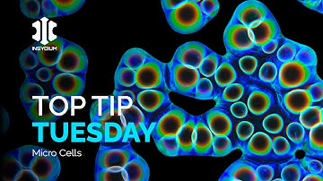 Top Tip Tuesday - Micro Cells
