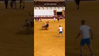 🦖🦕🐂🐮 DINOSAURIO es COGIDO GRAVEMENTE por una VACA brava en una plaza de toros de Tarazona de España