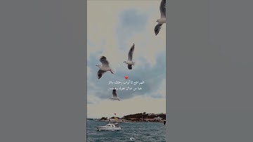 ربنا عليك توكلنا واليك انبنا واليك المصير❤️ | القارئ محمد هشام سورة الممتحنة