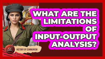 What Are The Limitations Of Input-Output Analysis?