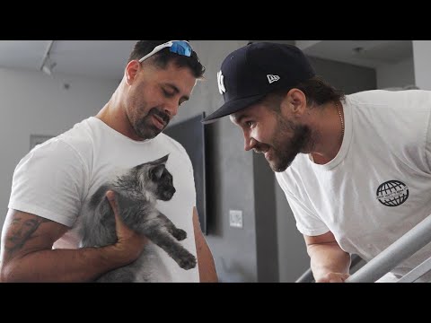 What does Cody do without Jeff ?