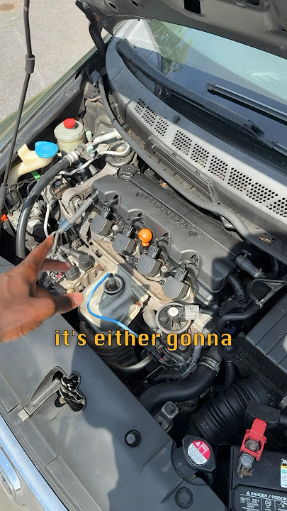 Download lagu I have wasps living in my car😭😭