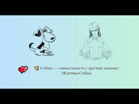 Собака — совместимость с другими знаками | Мужчина-Собака 🐕 💕️ | Китайский гороскоп