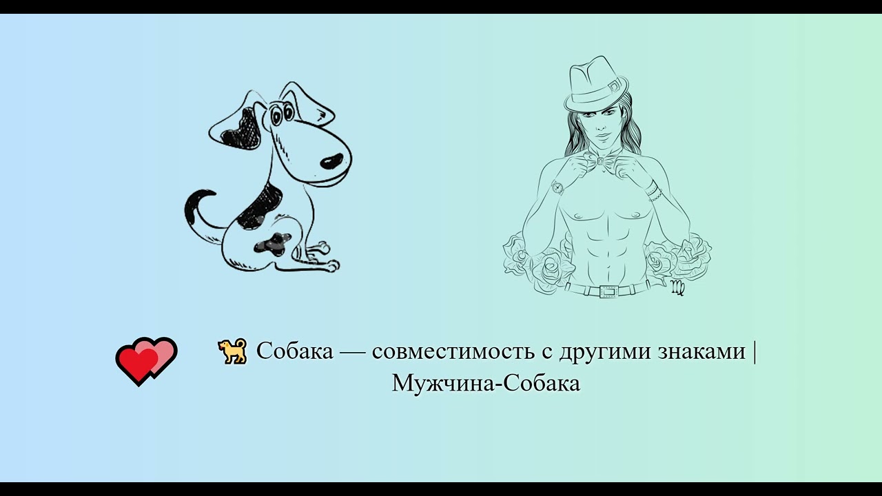 Собака — совместимость с другими знаками | Мужчина-Собака 🐕 💕️ | Китайский гороскоп