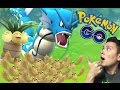 ポケモンGO!ギャラドス!進化!強化!レベルアップ!