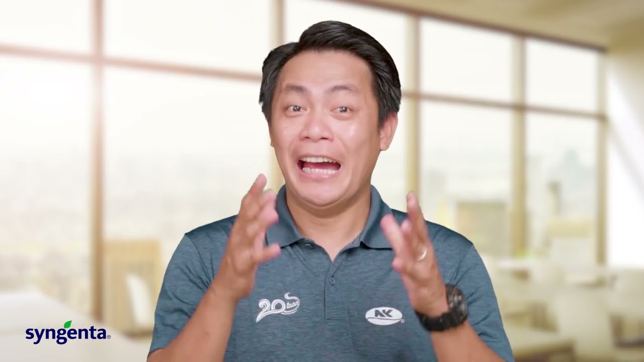 Corn Disease Management | Syngenta PH