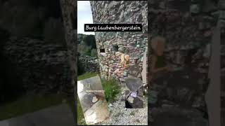 Ausgelegt - Wissens-Stein Nr.23, Nr.25, Nr.26 - Heute ausgesetzt auf der Burg Laubenbergerstein