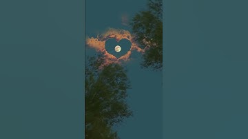 تلاوة هادئة تريح القلب💚 راحة نفسية 💚 القران شفاء الروح 💚 سبحان من رزقه هذا الصوت قناة ربيع القلوب