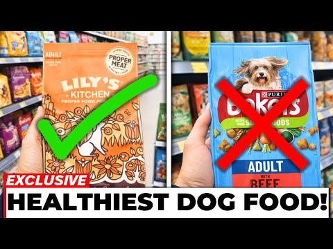 15 UK Dog Food Brands You Must Start Buying For Your Dog's Health