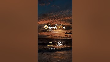 سورة يس تلاوه خاشعه جدا 😭❤️‍🩹 سورة ياسين #تلاوة_خاشعة #قرآن #اكسبلور #المصحف #سورة_يس #الرحمن
