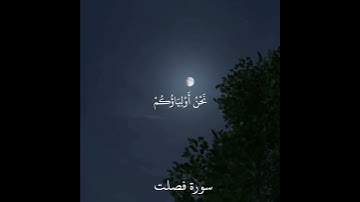إن الذين قالوا ربنا الله ثم استقاموا - سورة فصلت | القارئ الشيخ ناصر القطامي