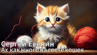 Ах, как много на свете кошек…