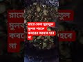 সুরাতুল মুলক এর ফজিলত #mizanur_rahman_azhari