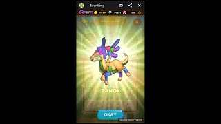 EverWings - TSIJARI All Evolutions !!!