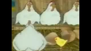 Grandmaster Chicken & DJ Duck | Check Out The Chicken (1991)