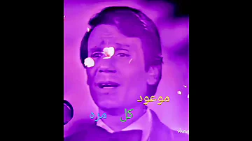 حليم وعمرك ماشفت معايا فرح 