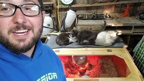 Chicken Coop Build Part 3- Nesting Boxes, Framing Walls & Hanging Siding