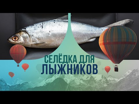 Селёдка для лыжников: зачем спортсменам эта рыба и как она помогает на трассе