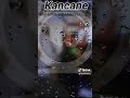 Kancane ft MusiQ Solo & Inkosana yaseCabin