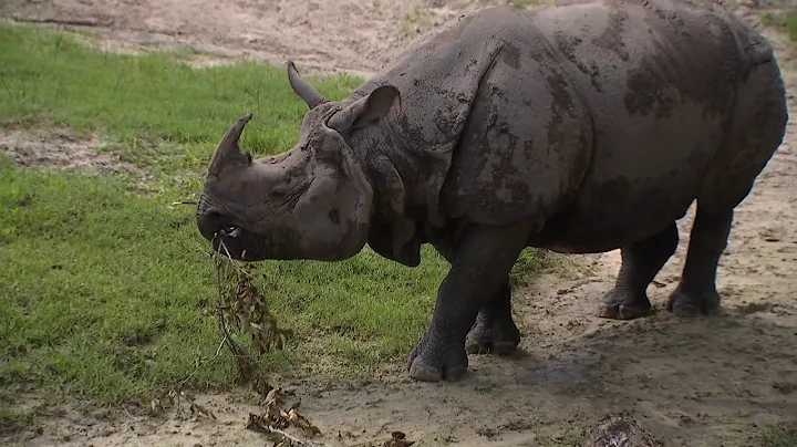 6 Things To Do: June 14-15