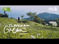 Slovenia green  official trailer  eng subs