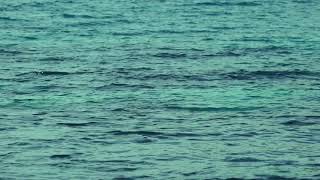Gymnopédie No.1 Rework Teaser - New single